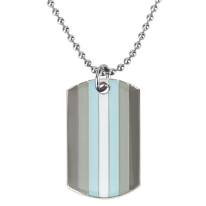 Demi-Boy Pride Dog Tag Necklace