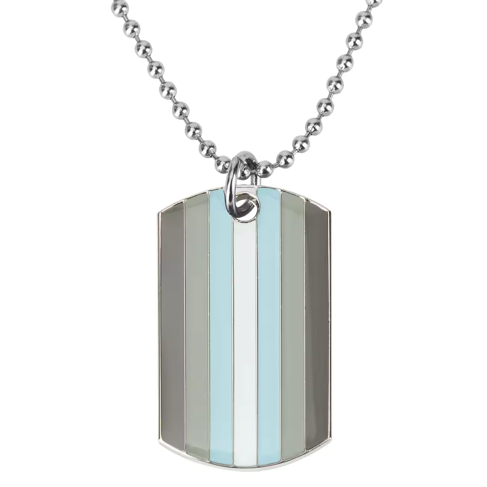 Demi-Boy Pride Dog Tag Necklace
